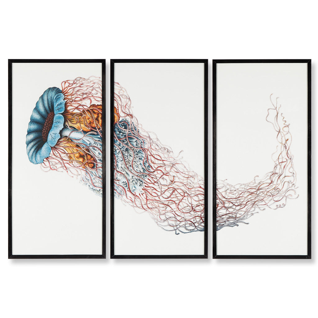 Jelly Fish Triptych
Medusa
