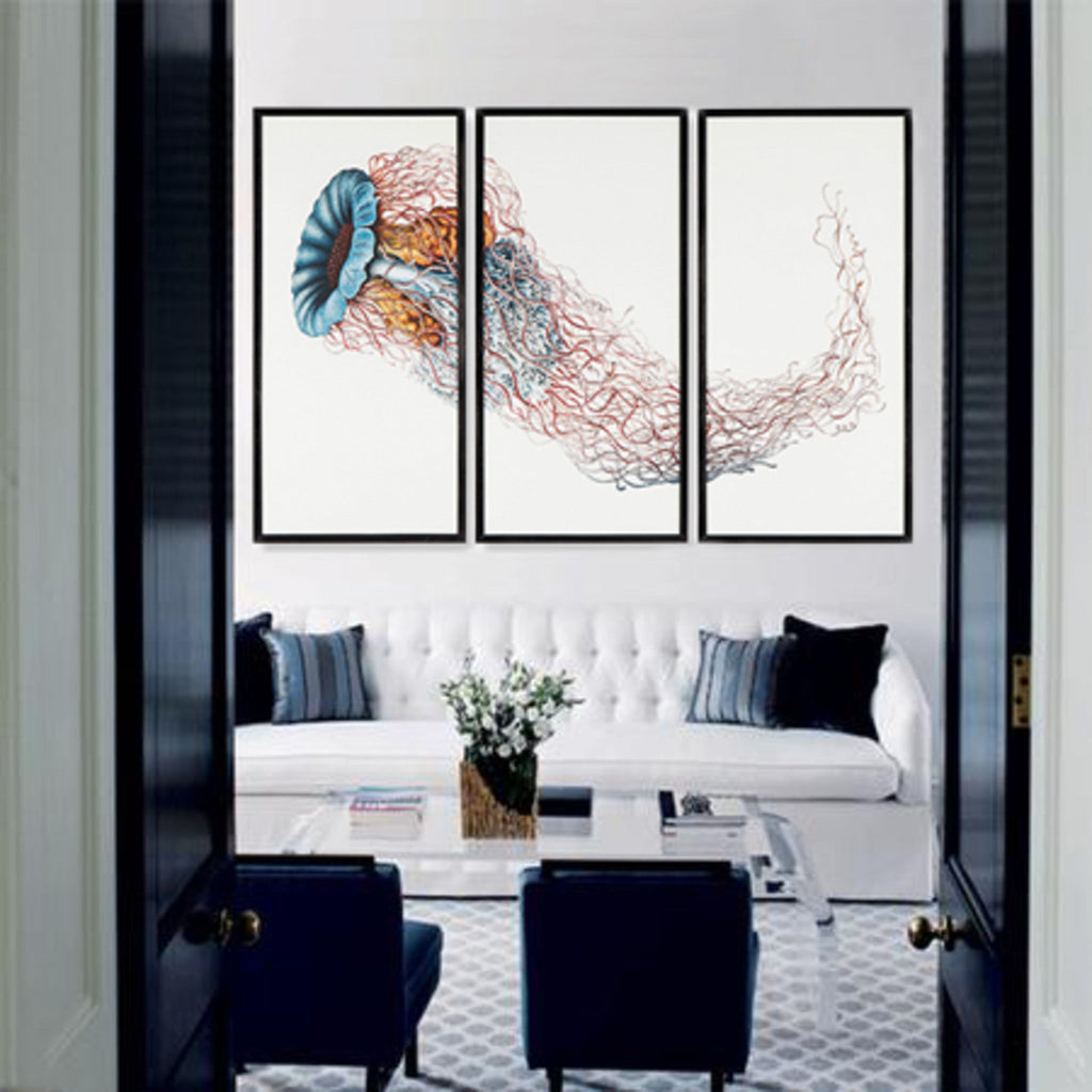 Jelly Fish Triptych
Medusa