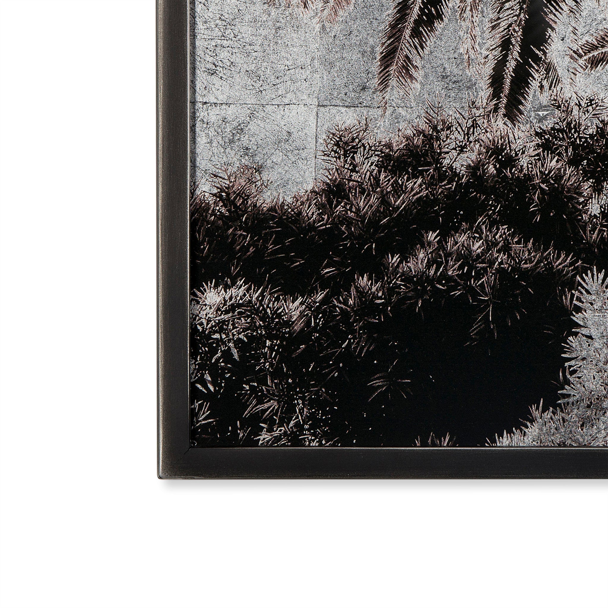 Venice  Palm Trees -  Siver Leaf