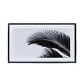 Black & White Palm Leaf