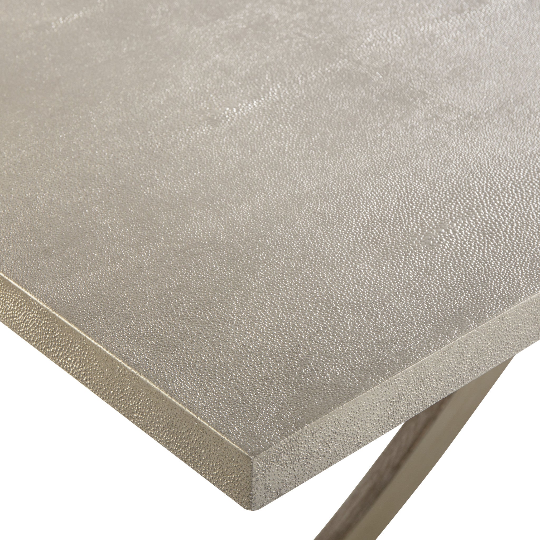 Shagreen Top