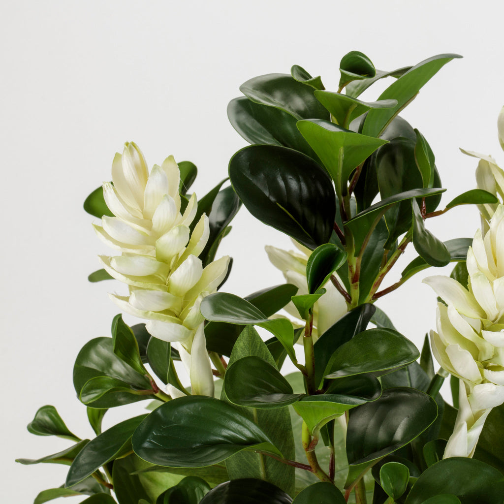 Ginger and Mixed Leaf Arrangement in Glass Square Vase
