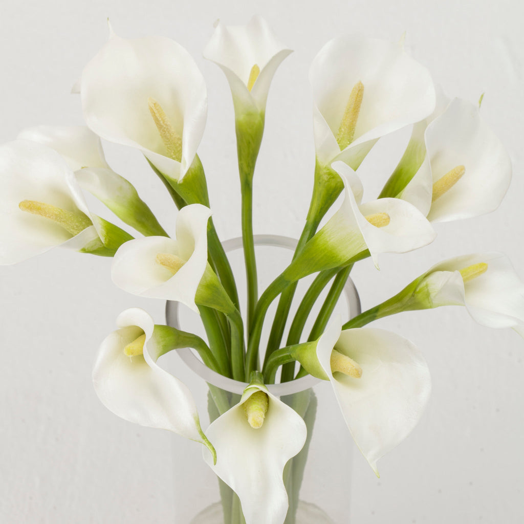 White Calla Lilies in Glass Vase
