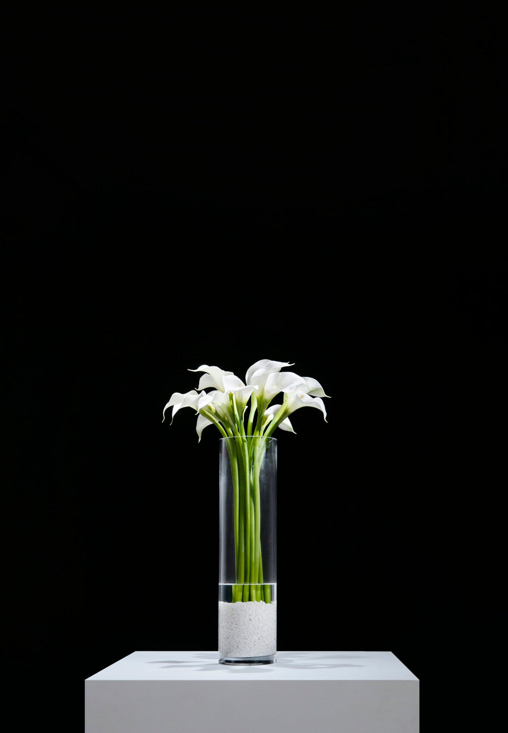 White Calla Lilies in Glass Vase