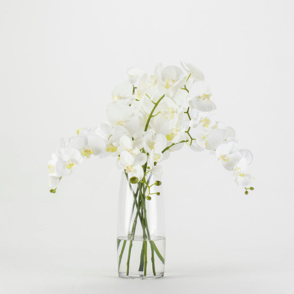 White Orchids in Glass Vase