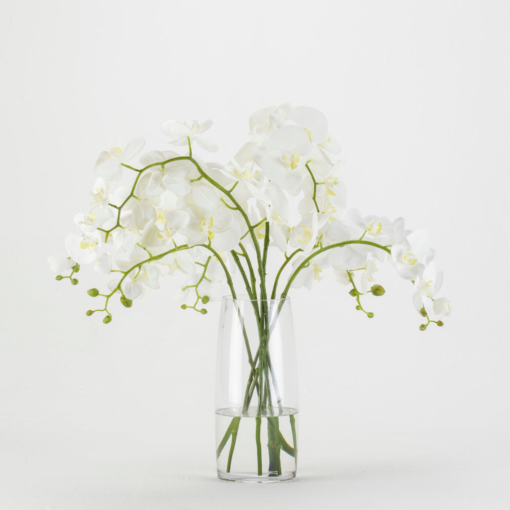 White Orchids in Glass Vase