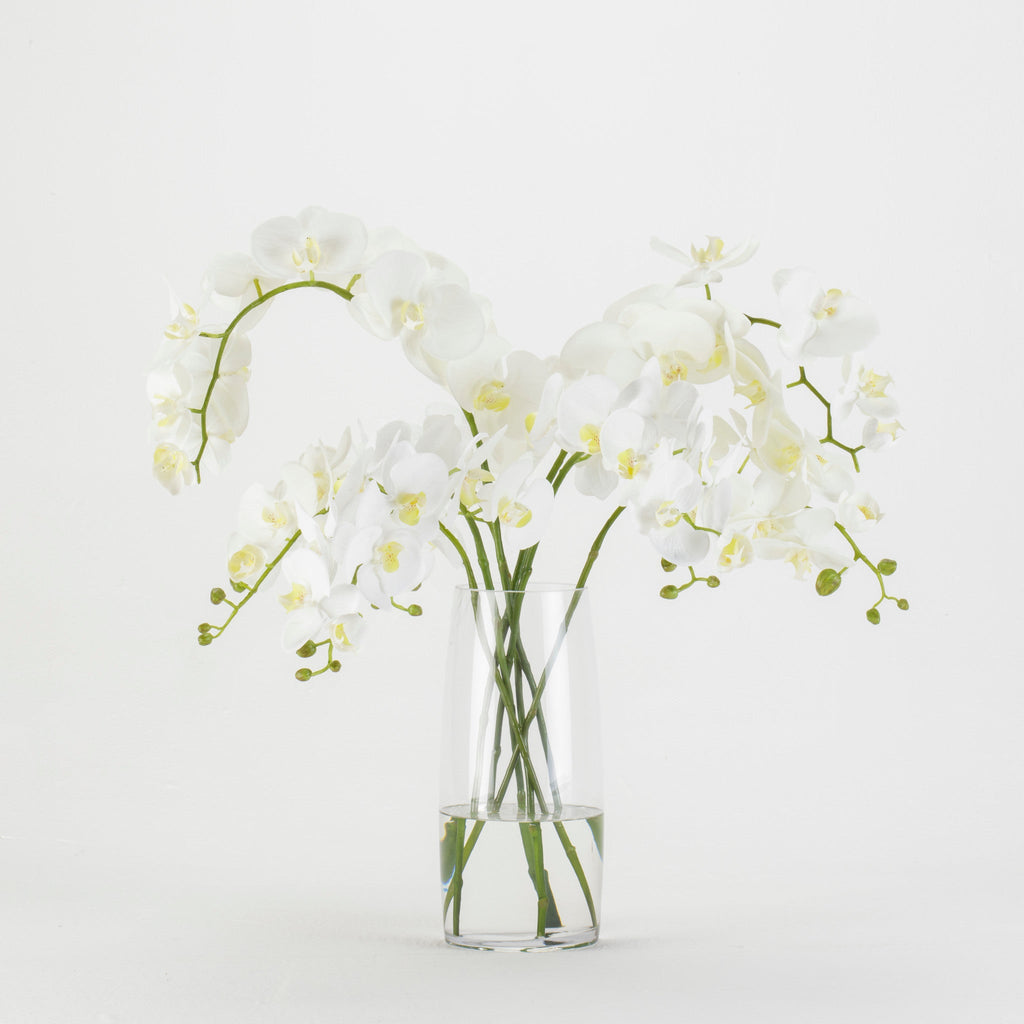 White Orchids in Glass Vase