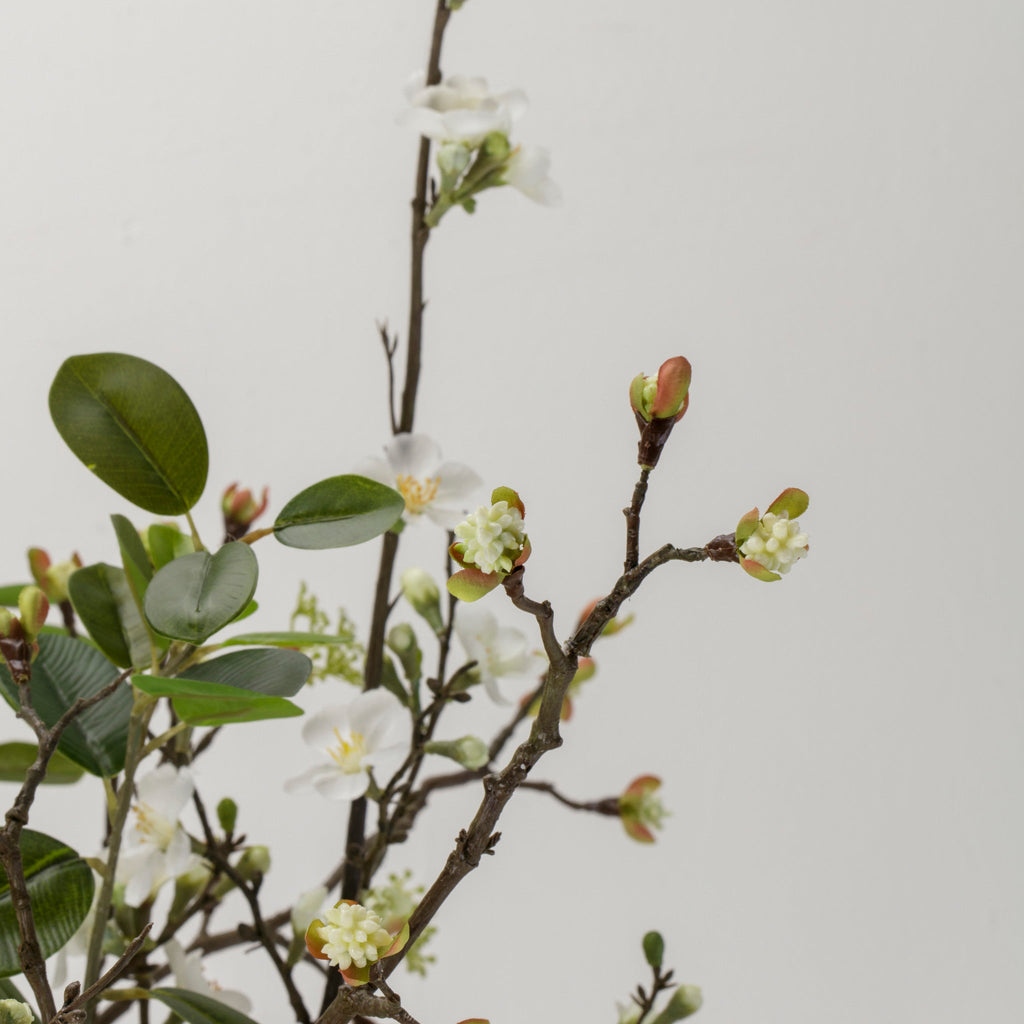 Mixed Blossom and Leaves in Glass Vase