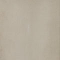 Fog Shagreen