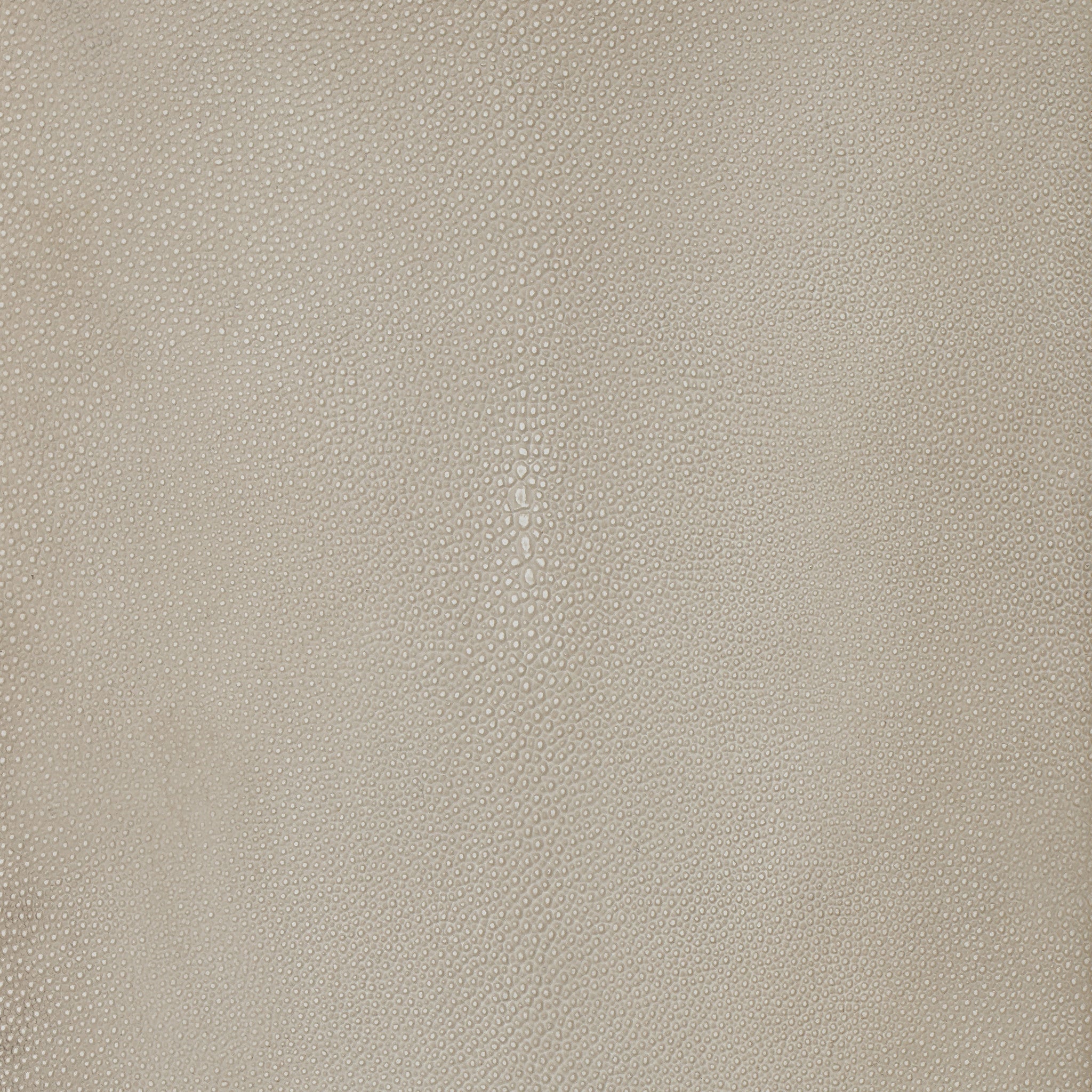 Fog Shagreen