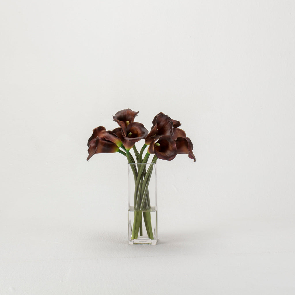 Burgundy Calla Lilies in Tall Square Vase