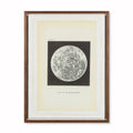 Chart Of Moons Surface - Circa 1893