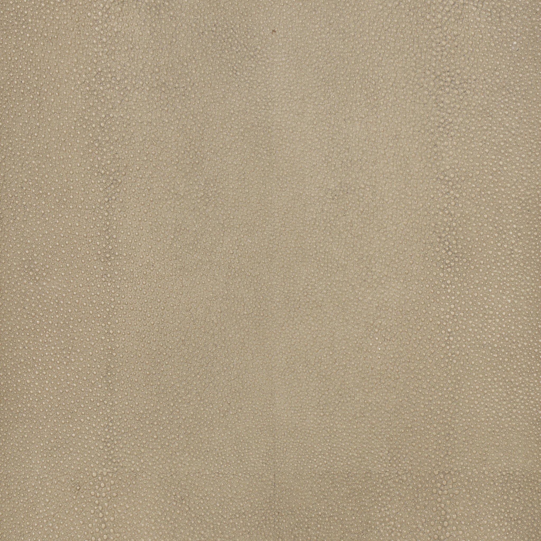 Cream Shagreen