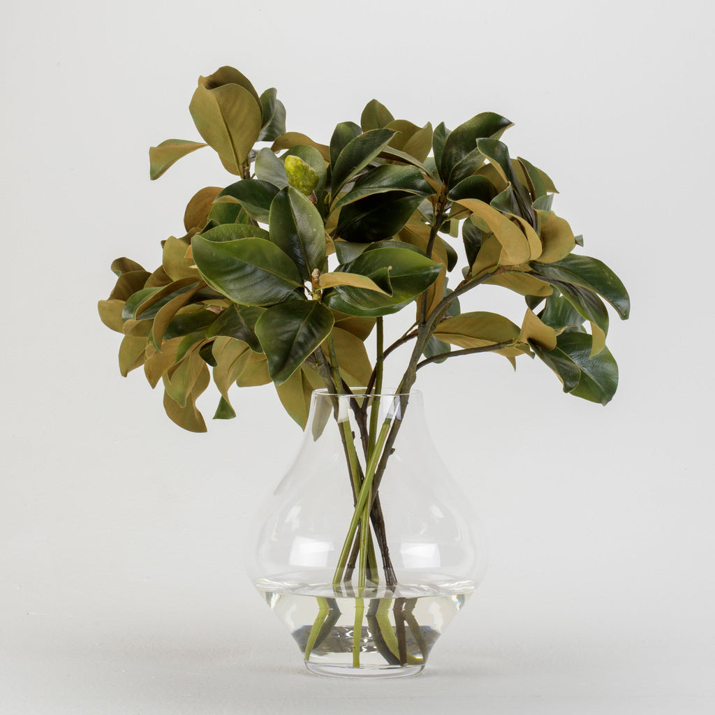 Magnolia Leaves in York Vase
