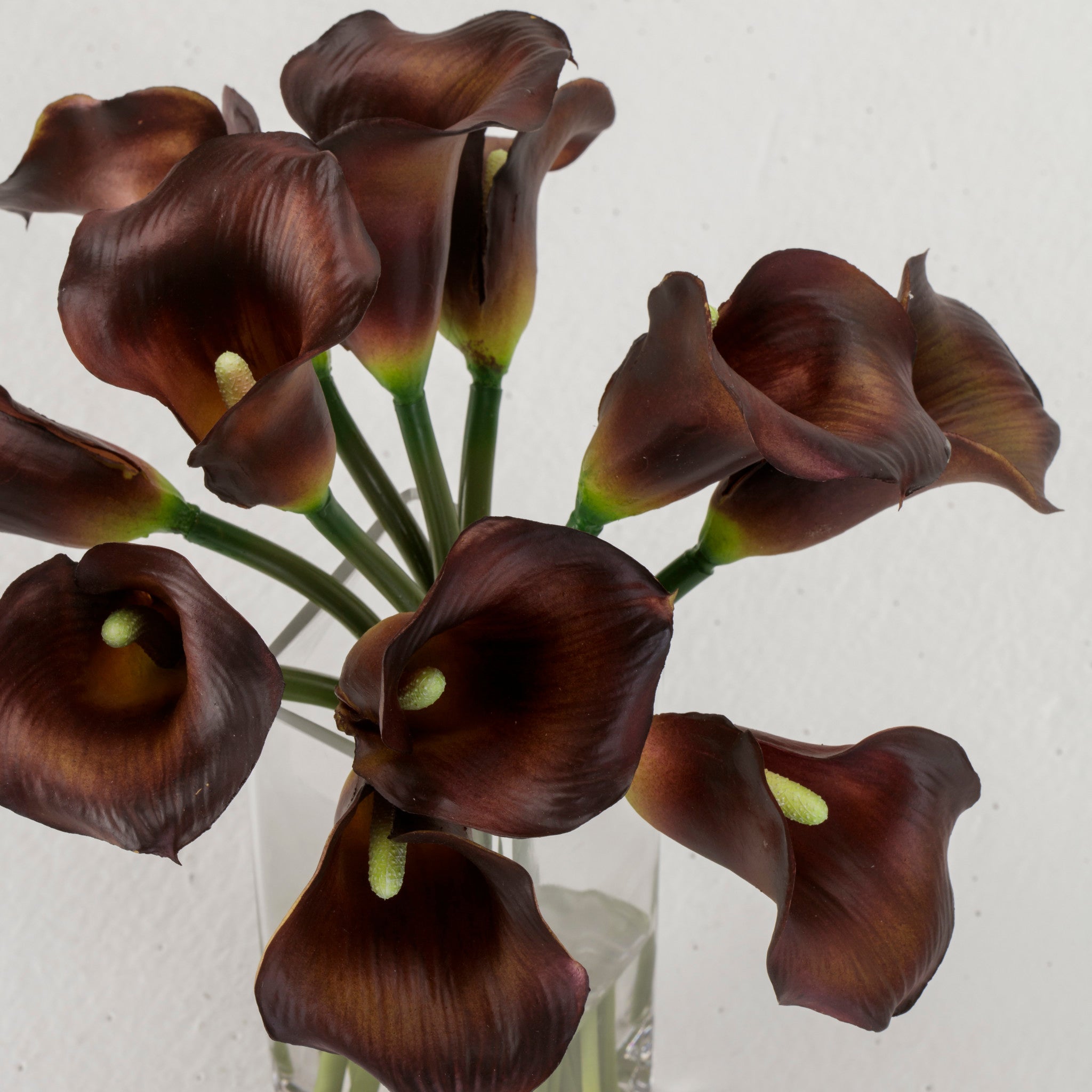 Burgundy Calla Lilies in Tall Square Vase
