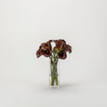 Burgundy Calla Lilies in Tall Square Vase
