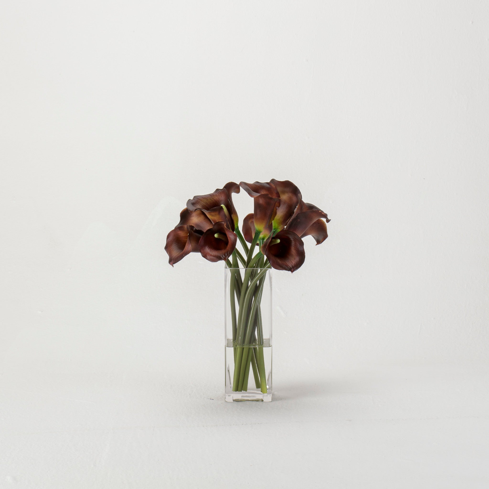 Burgundy Calla Lilies in Tall Square Vase