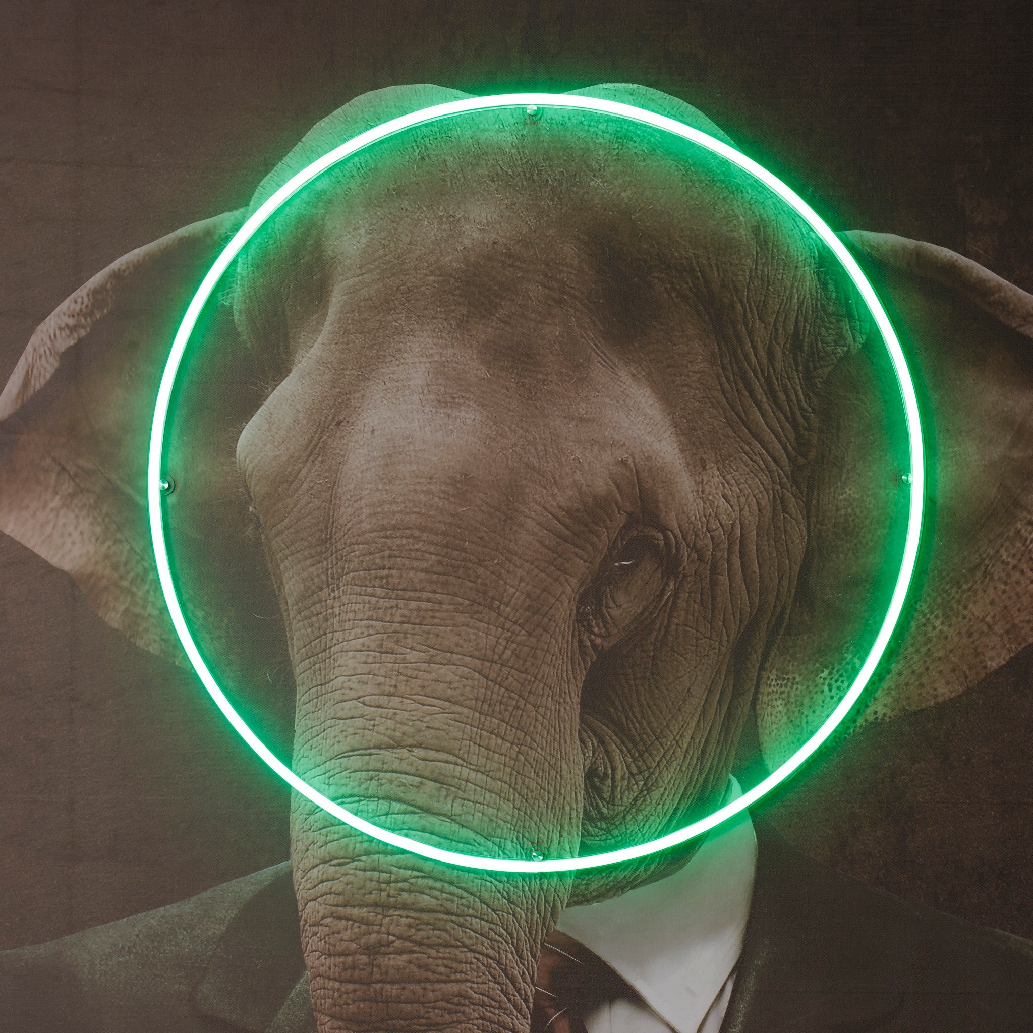 Elephant Portrait - LED Neon