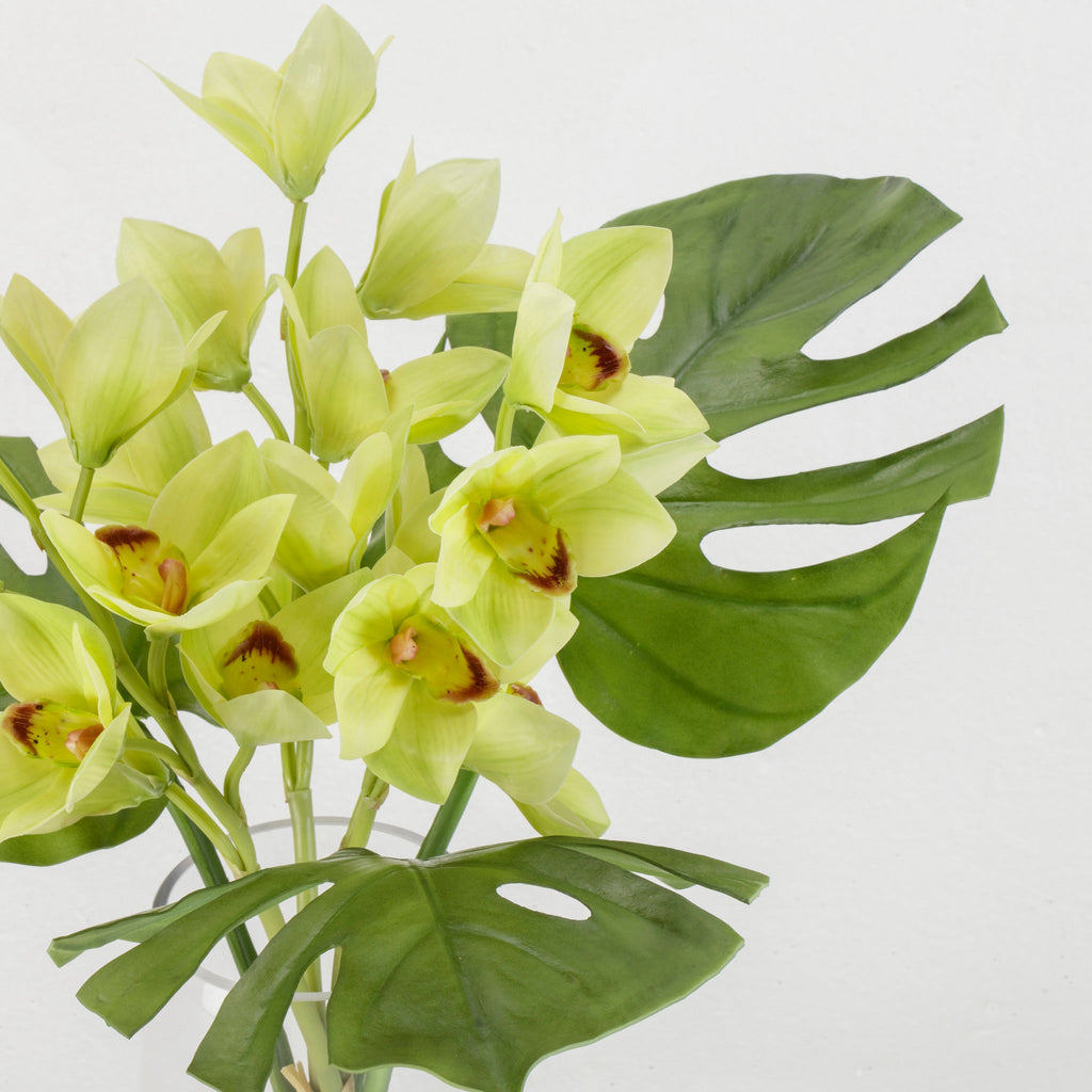 Cymbidium Orchid with Leaf in Tapered Glass Cylinder