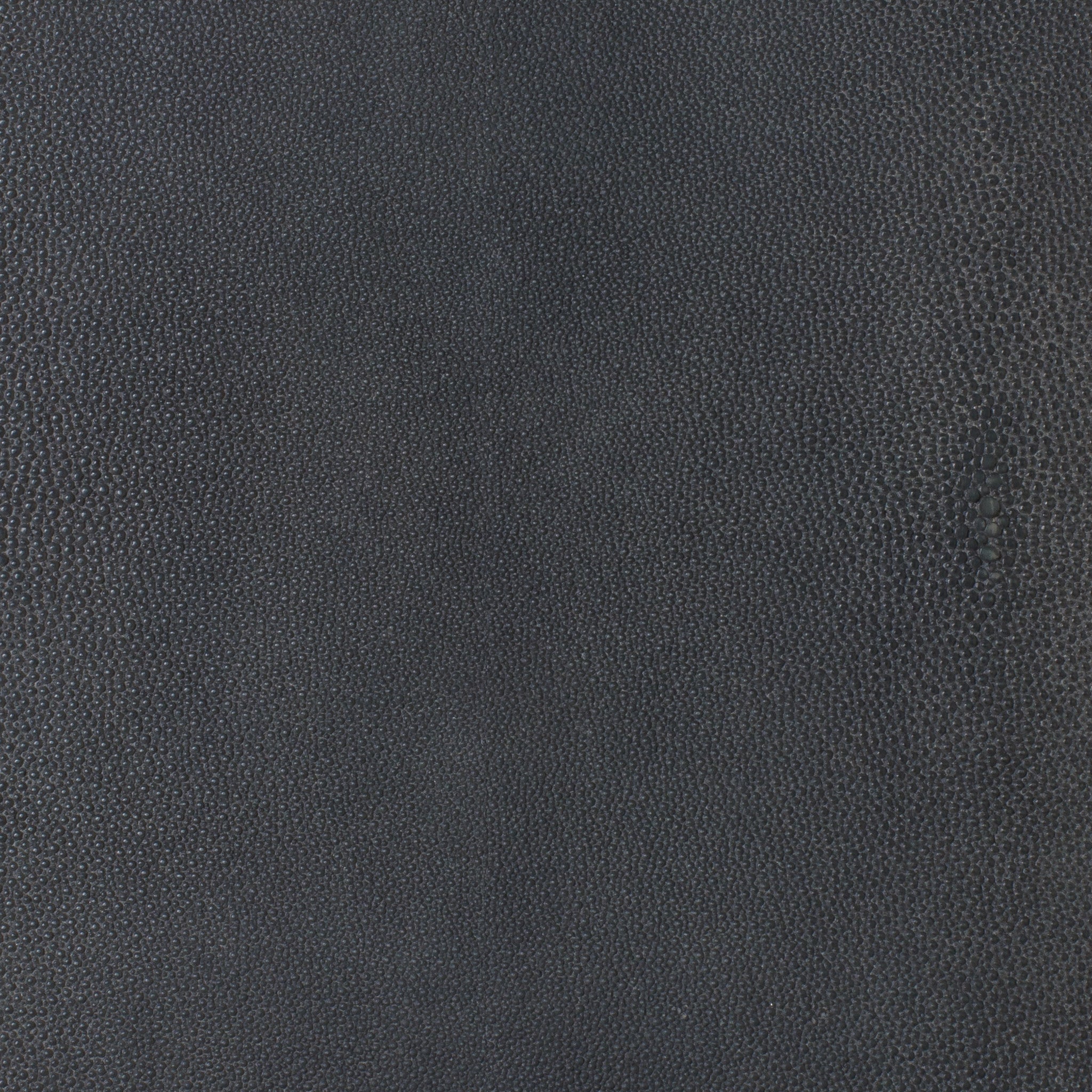 Blue Denim Shagreen
