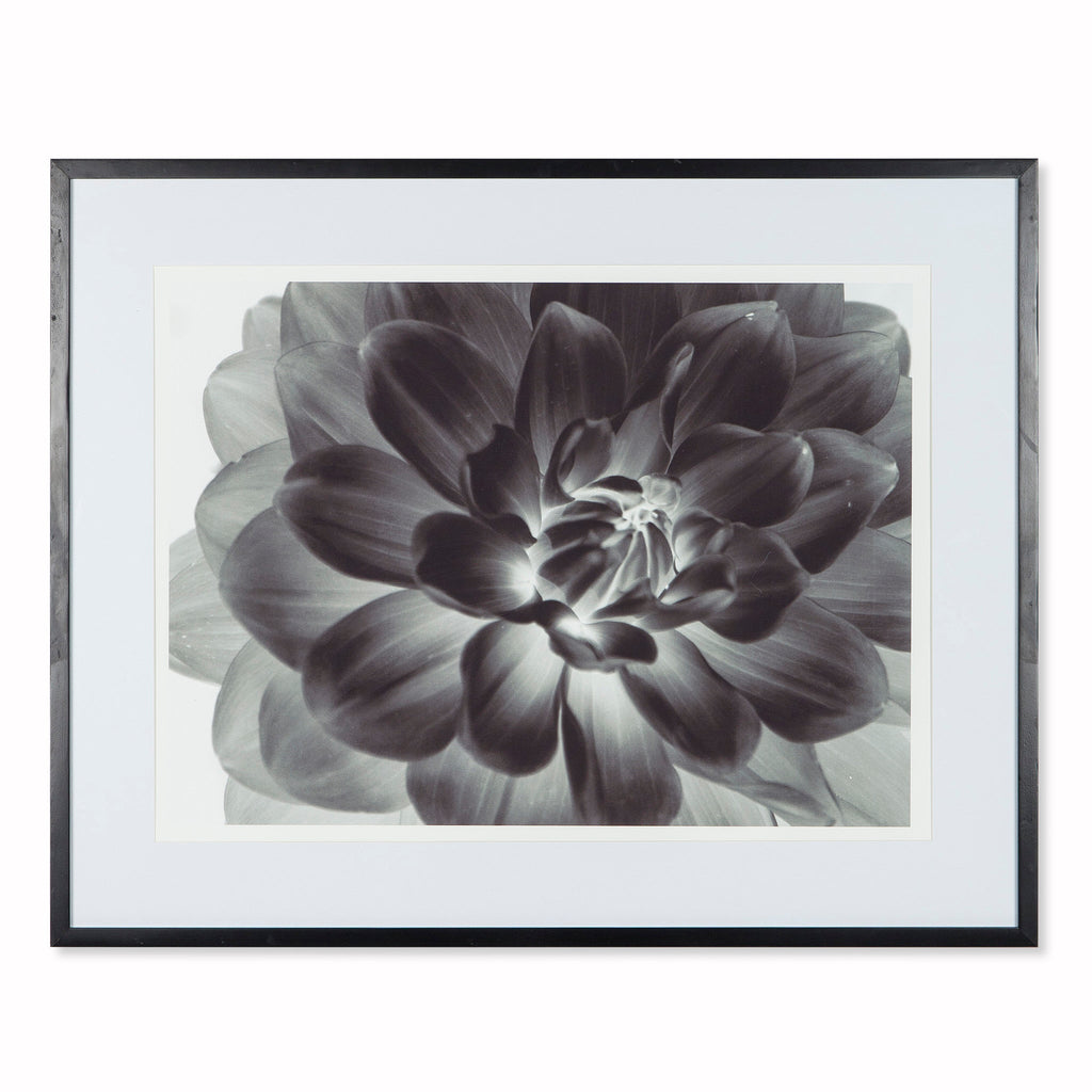 Black Flower