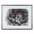 Black Flower