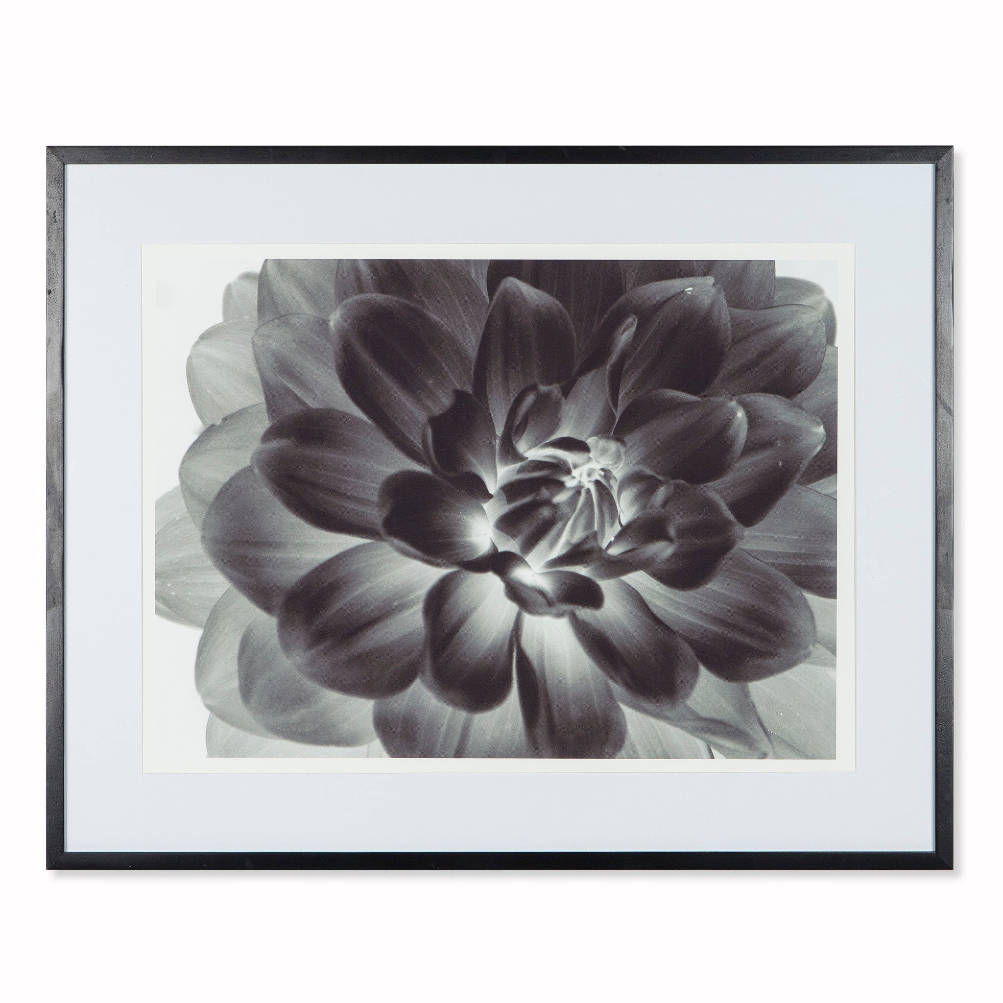 Black Flower