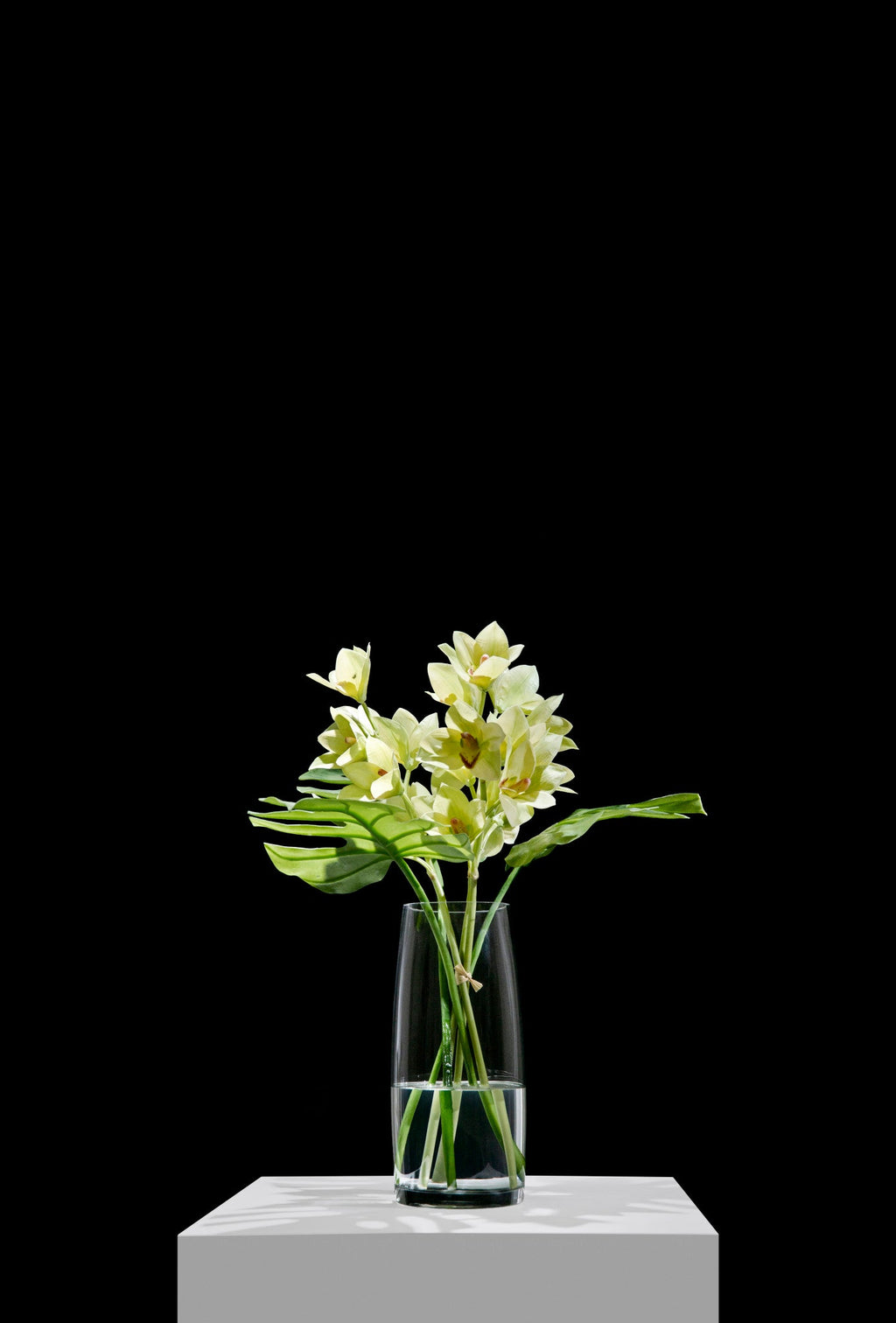Cymbidium Orchid with Leaf in Tapered Glass Cylinder
