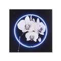 Neon Orchid
