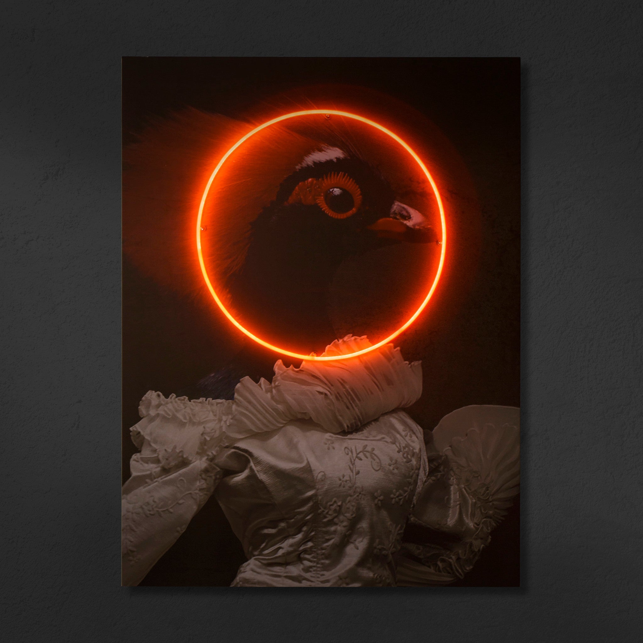 Pheasant Portrait - LED Neon