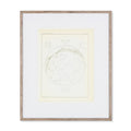Atlas Of Astronomy Circa 1900