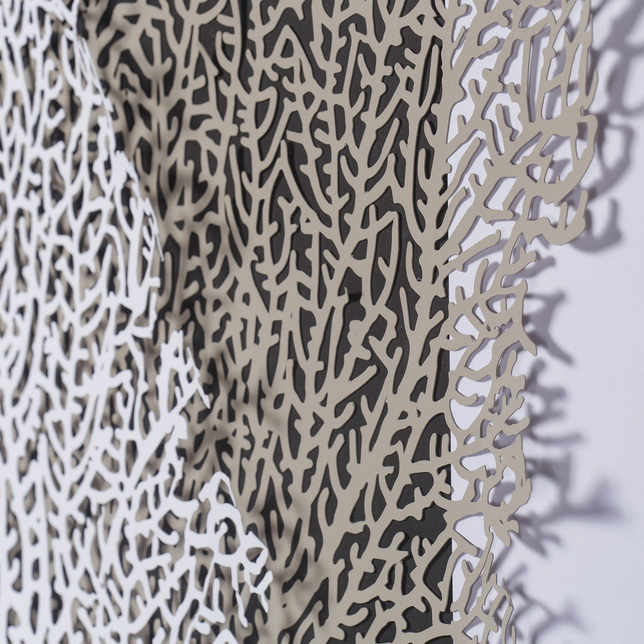 White & Grey Coral