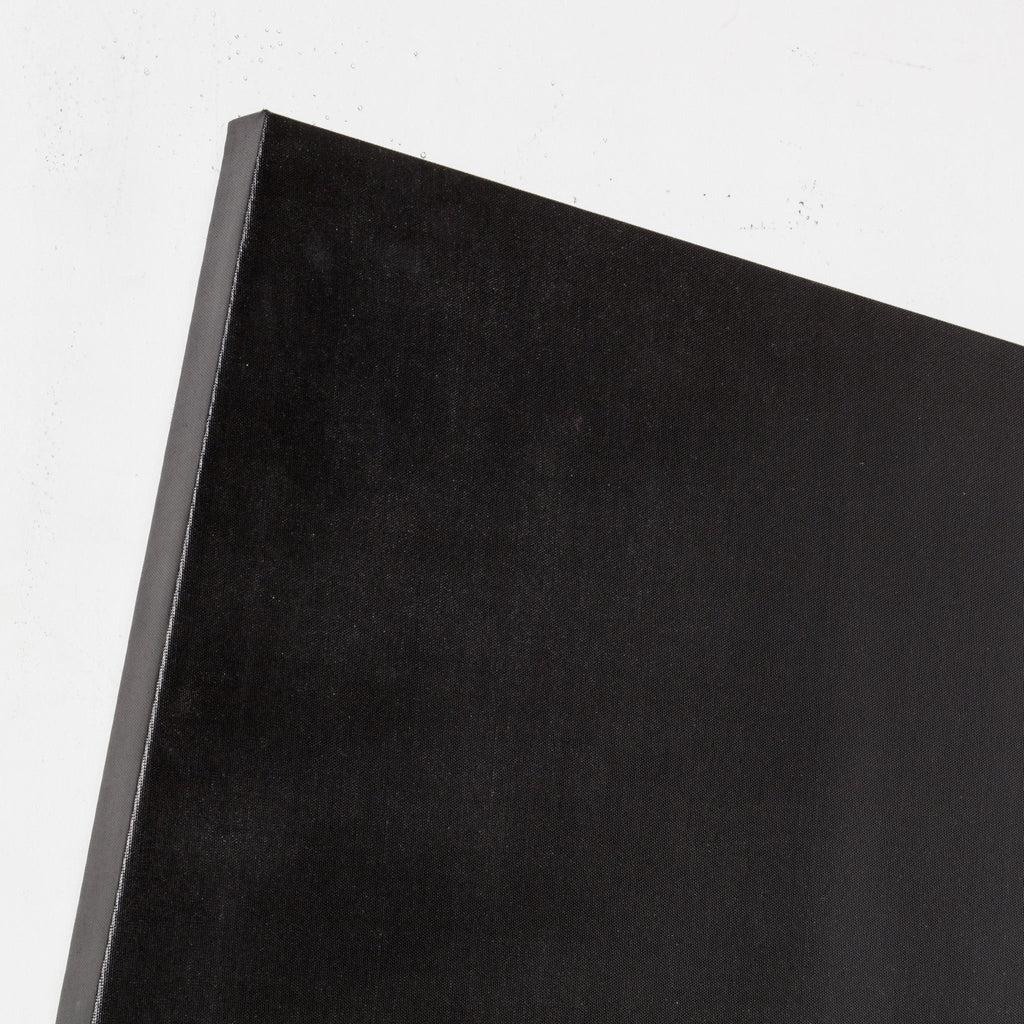 Reagan Hayes - Black & White Canvas