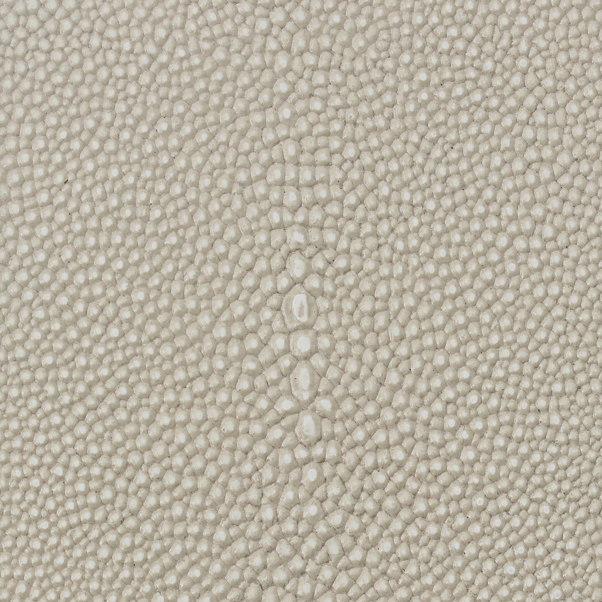 Ivory Shagreen