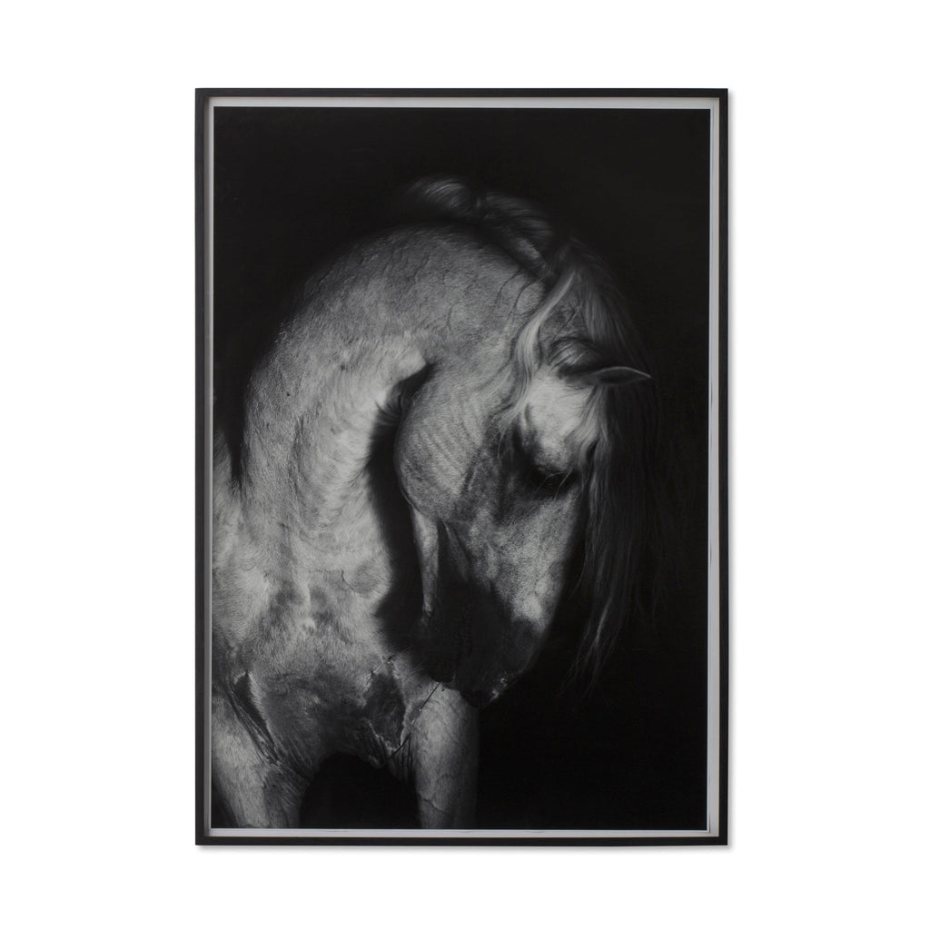 Grey Horse