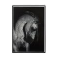 Grey Horse