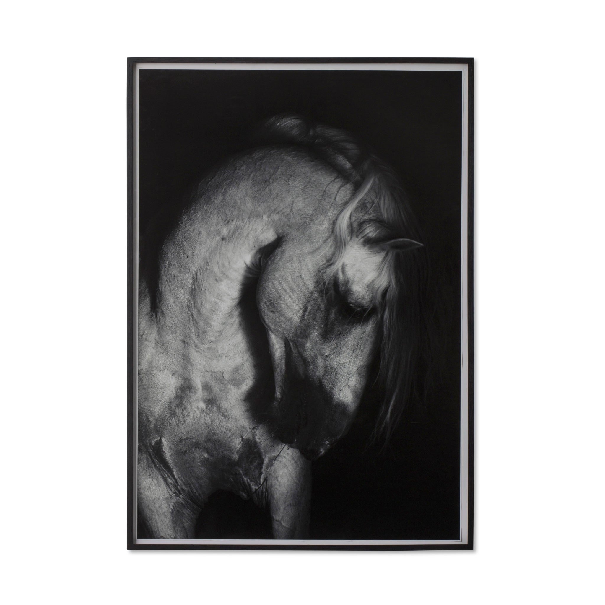 Grey Horse