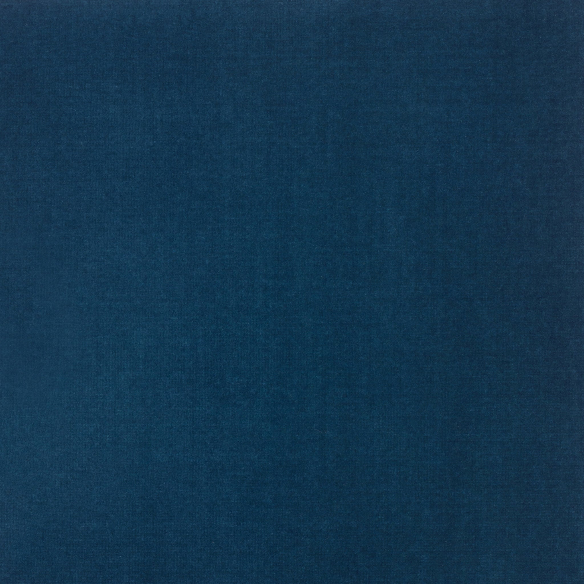 Vana Blue Velvet Swatch