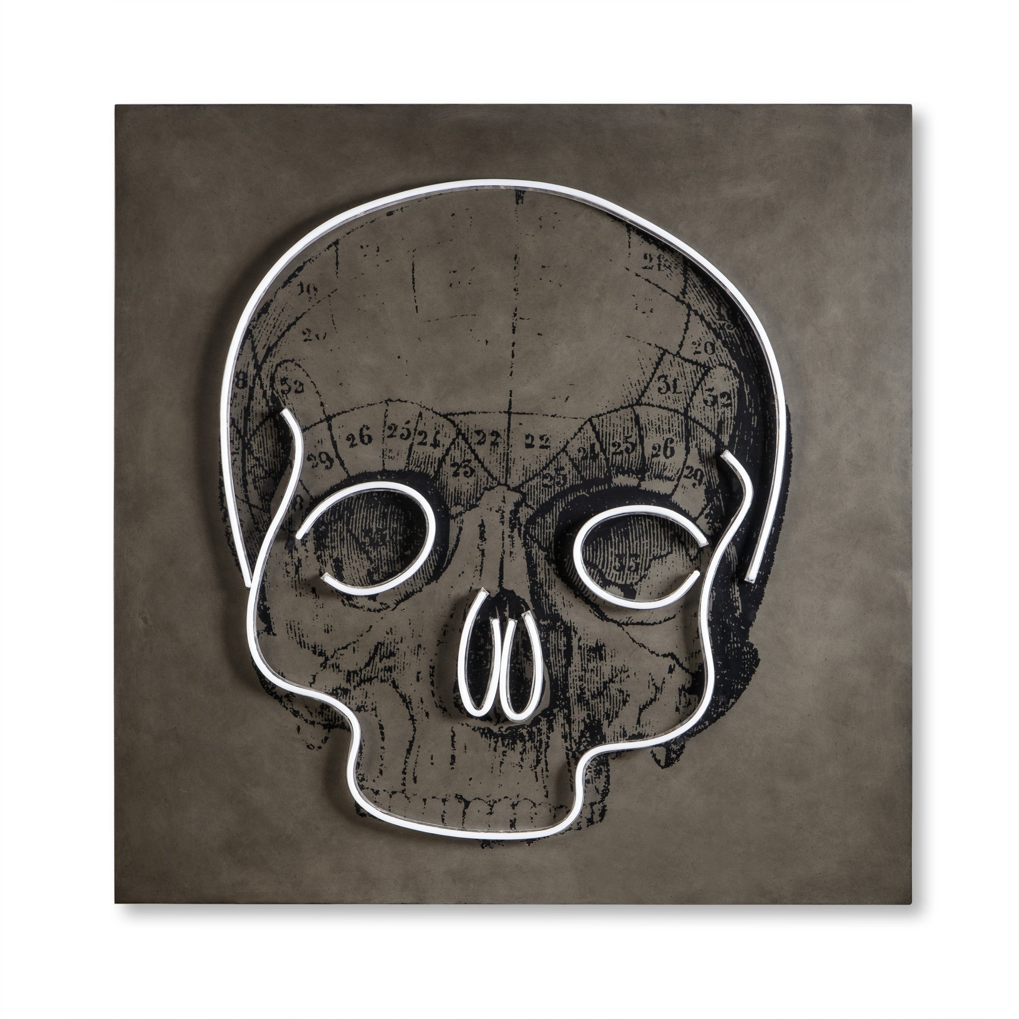 LED Neon Skull