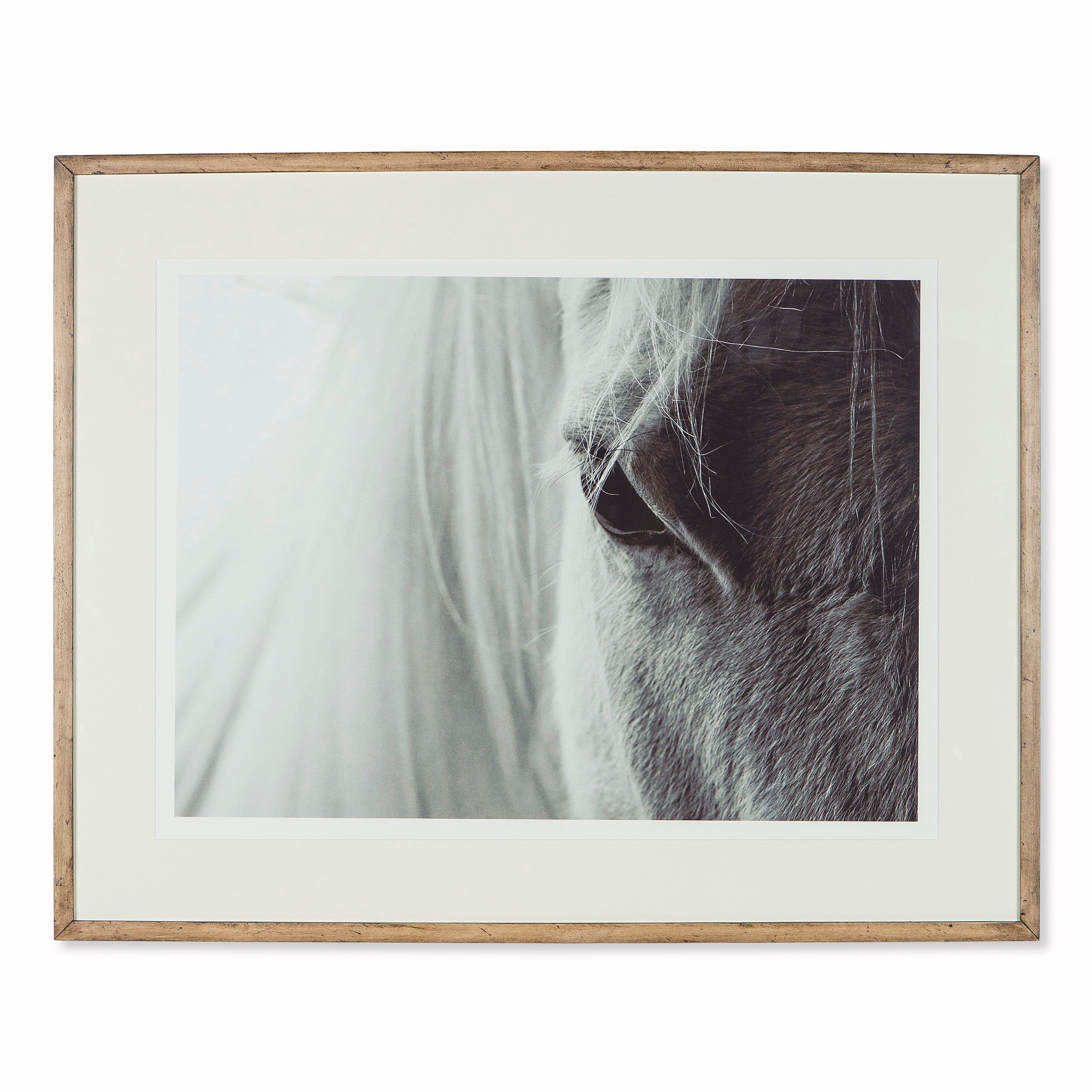White Horse Anthro