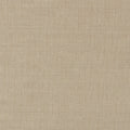 Nemo Sand Swatch