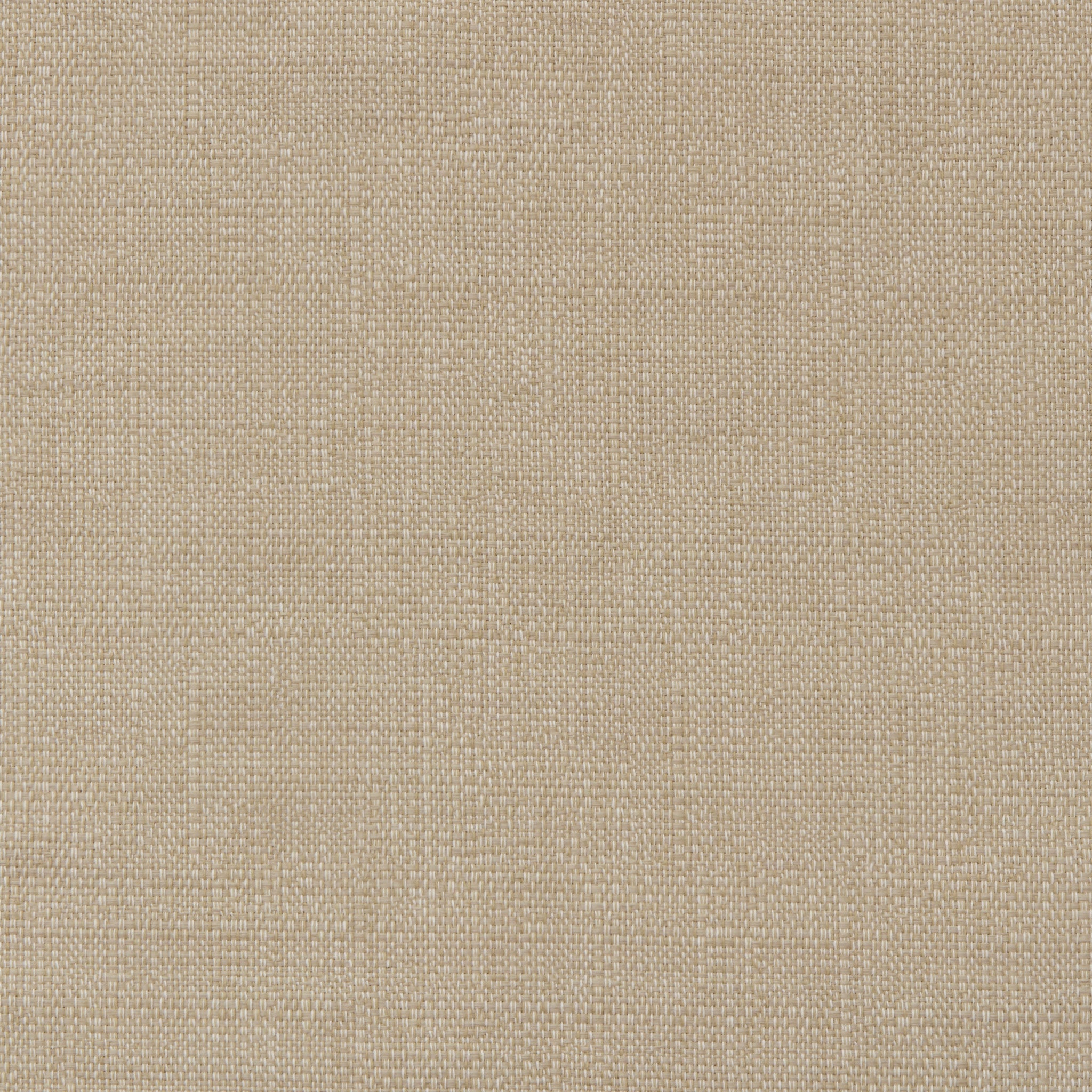 Nemo Sand Swatch
