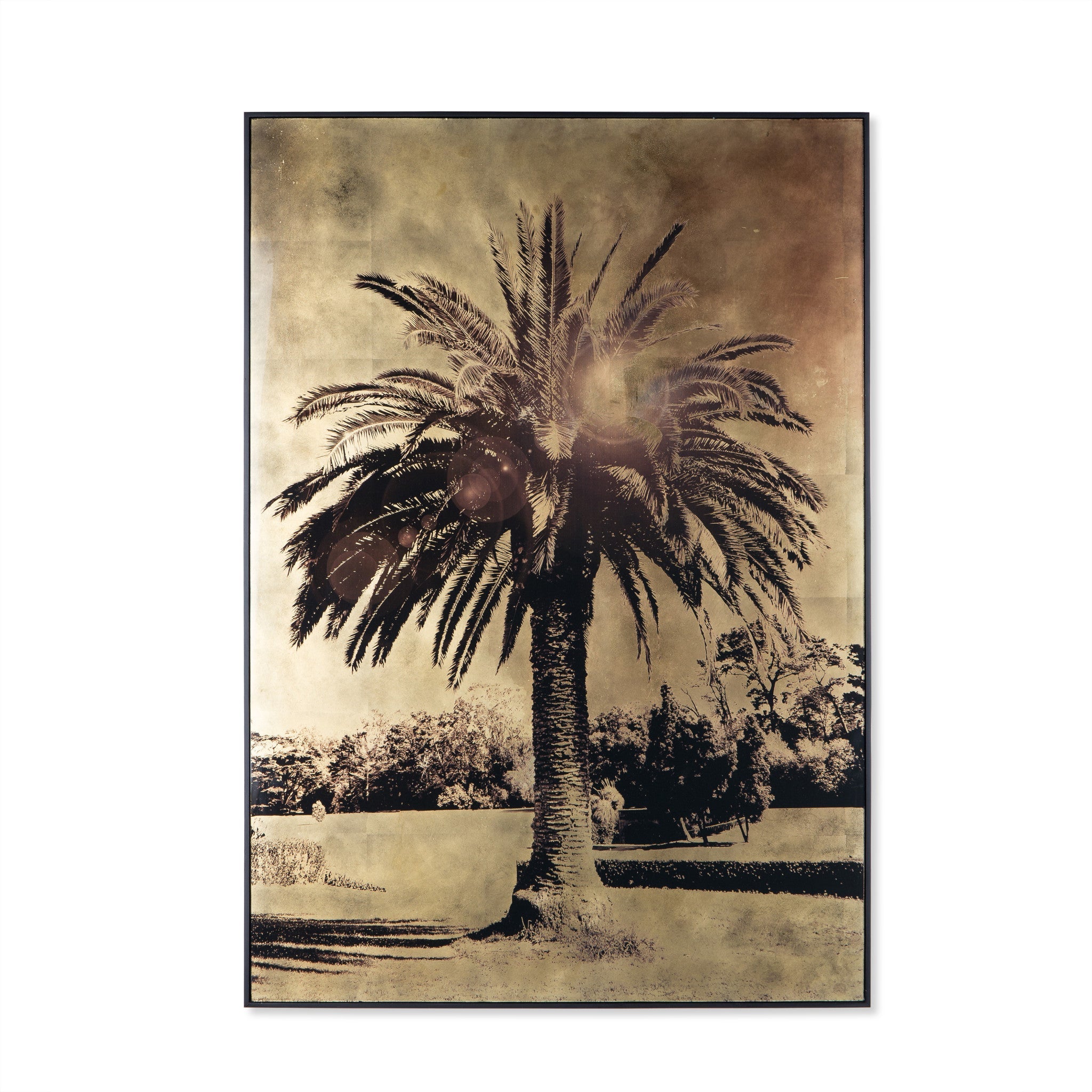 Gold Leaf Palm Tree