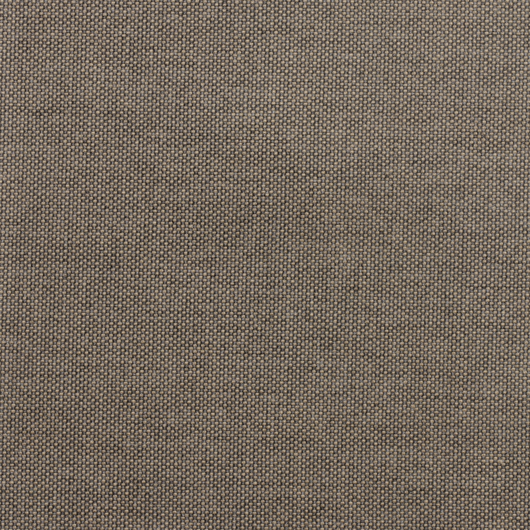 Macy Shadow Swatch