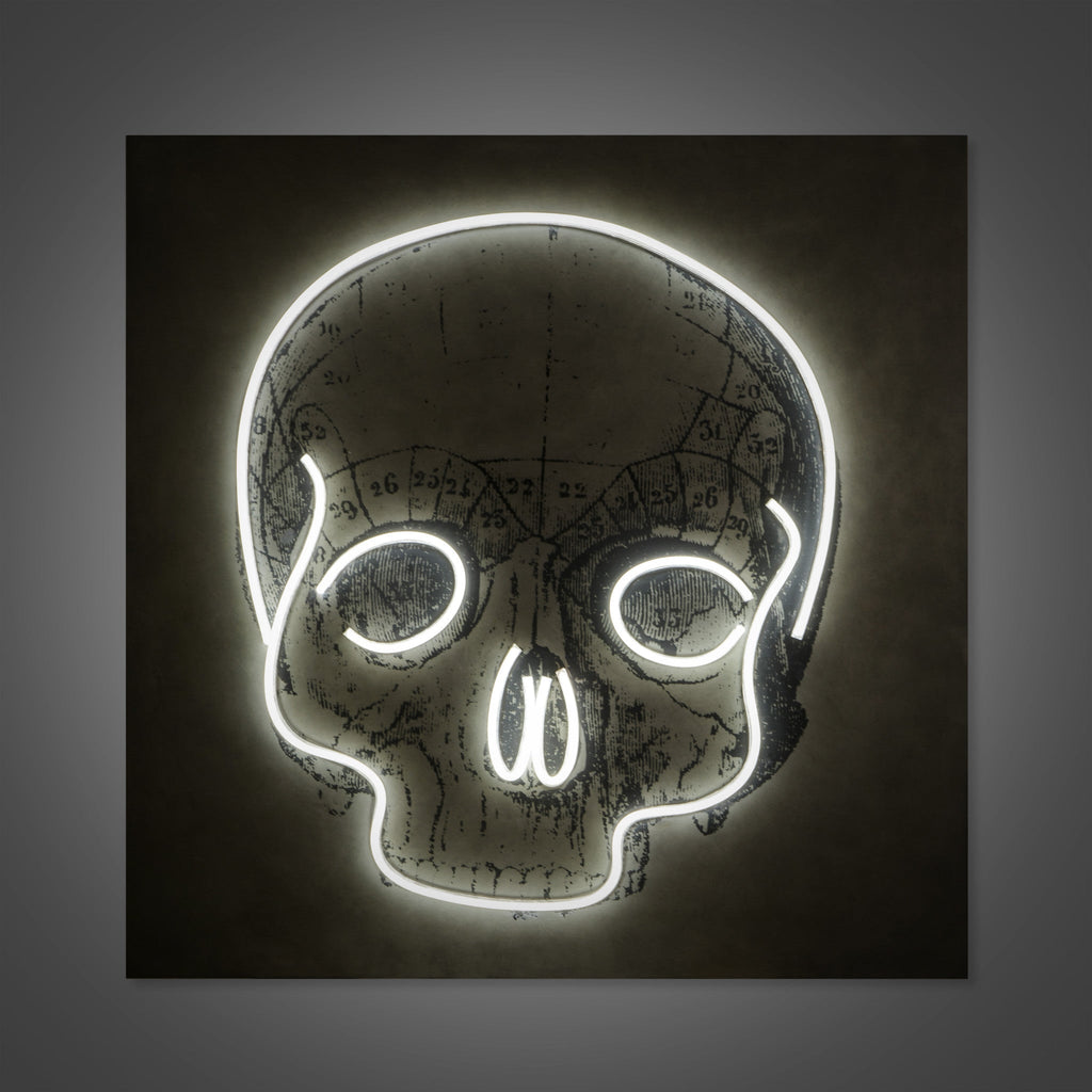 LED Neon Skull