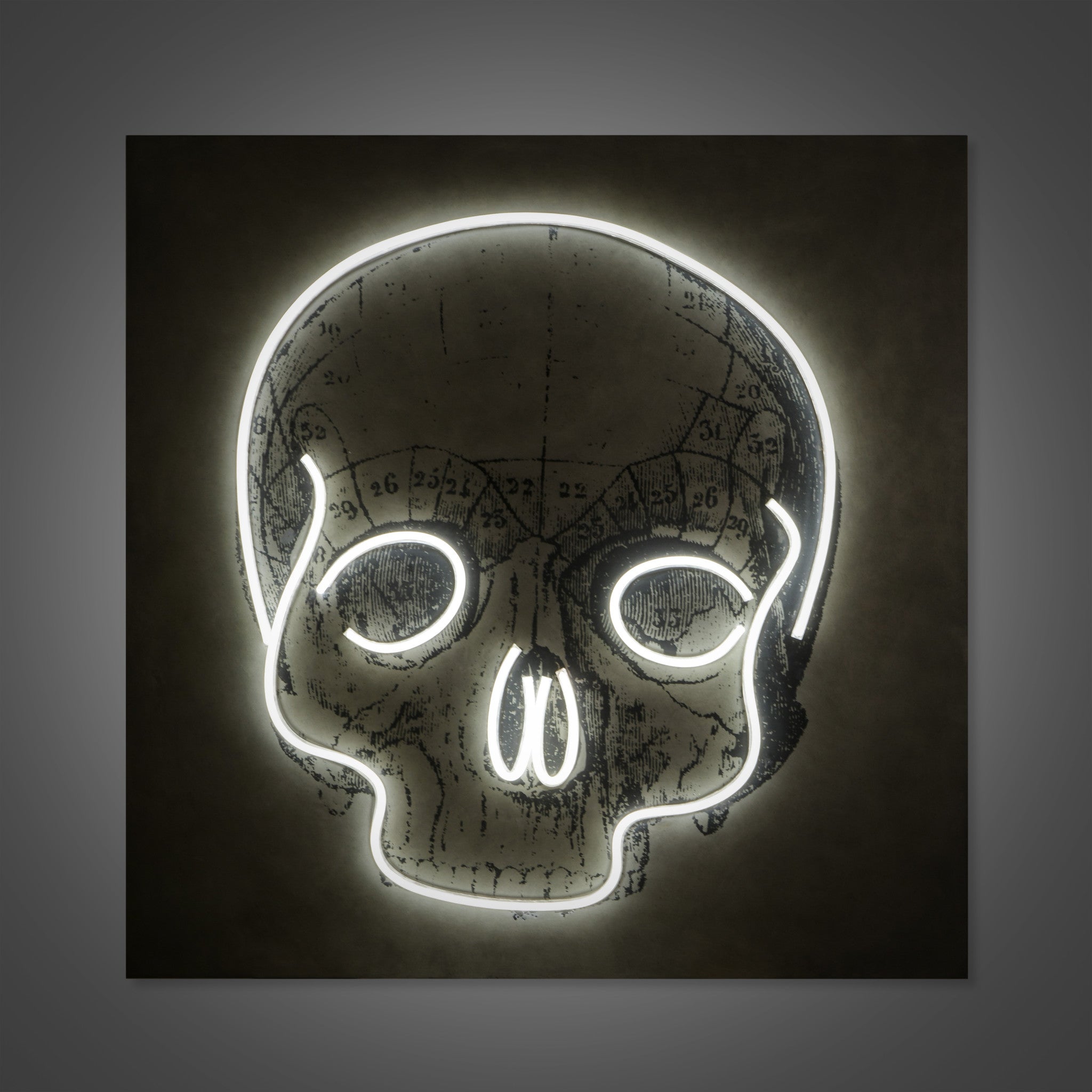 LED Neon Skull