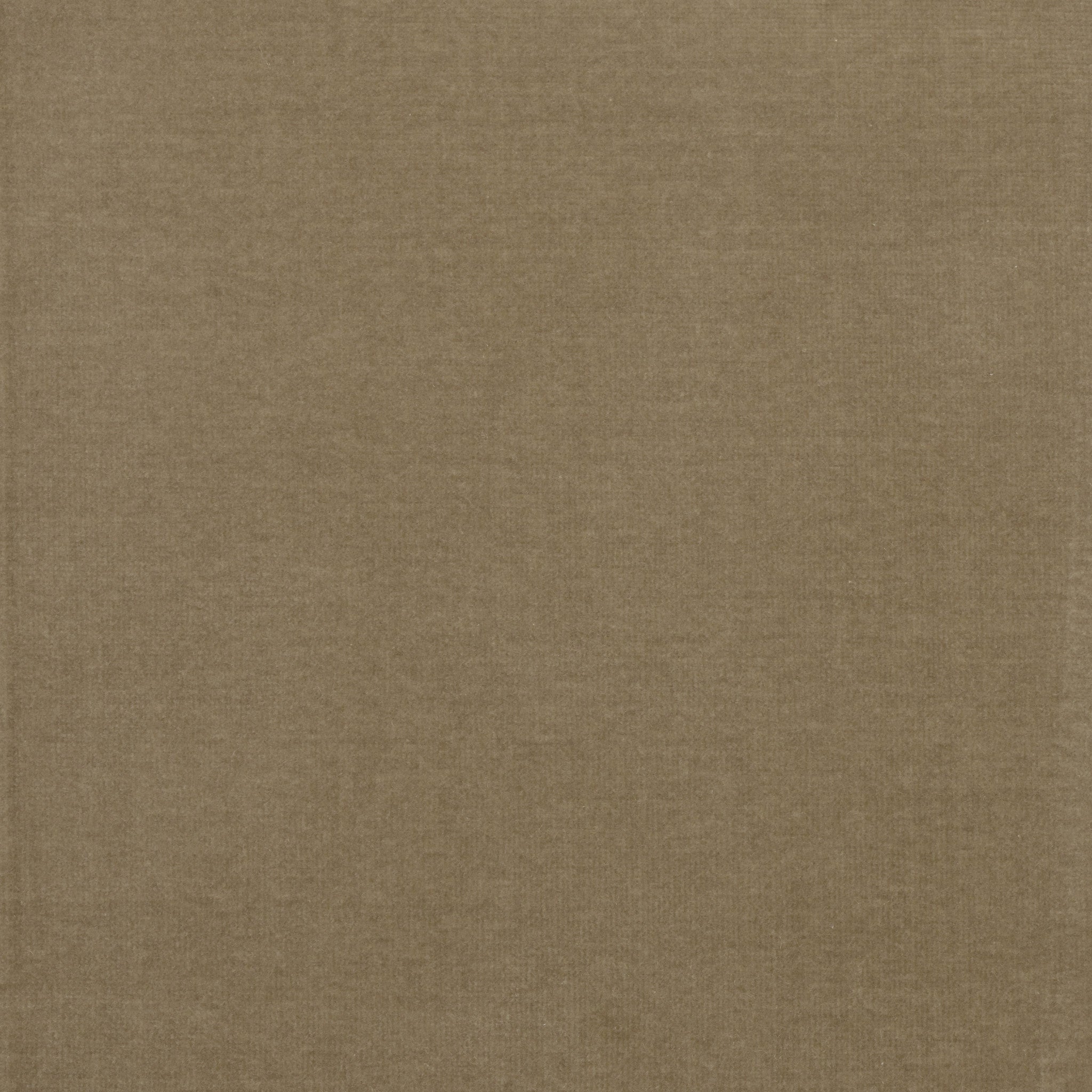 Vadit Mushroom Swatch
