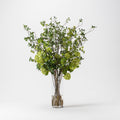 Mixed Greenery In Tall Glass Square Vase