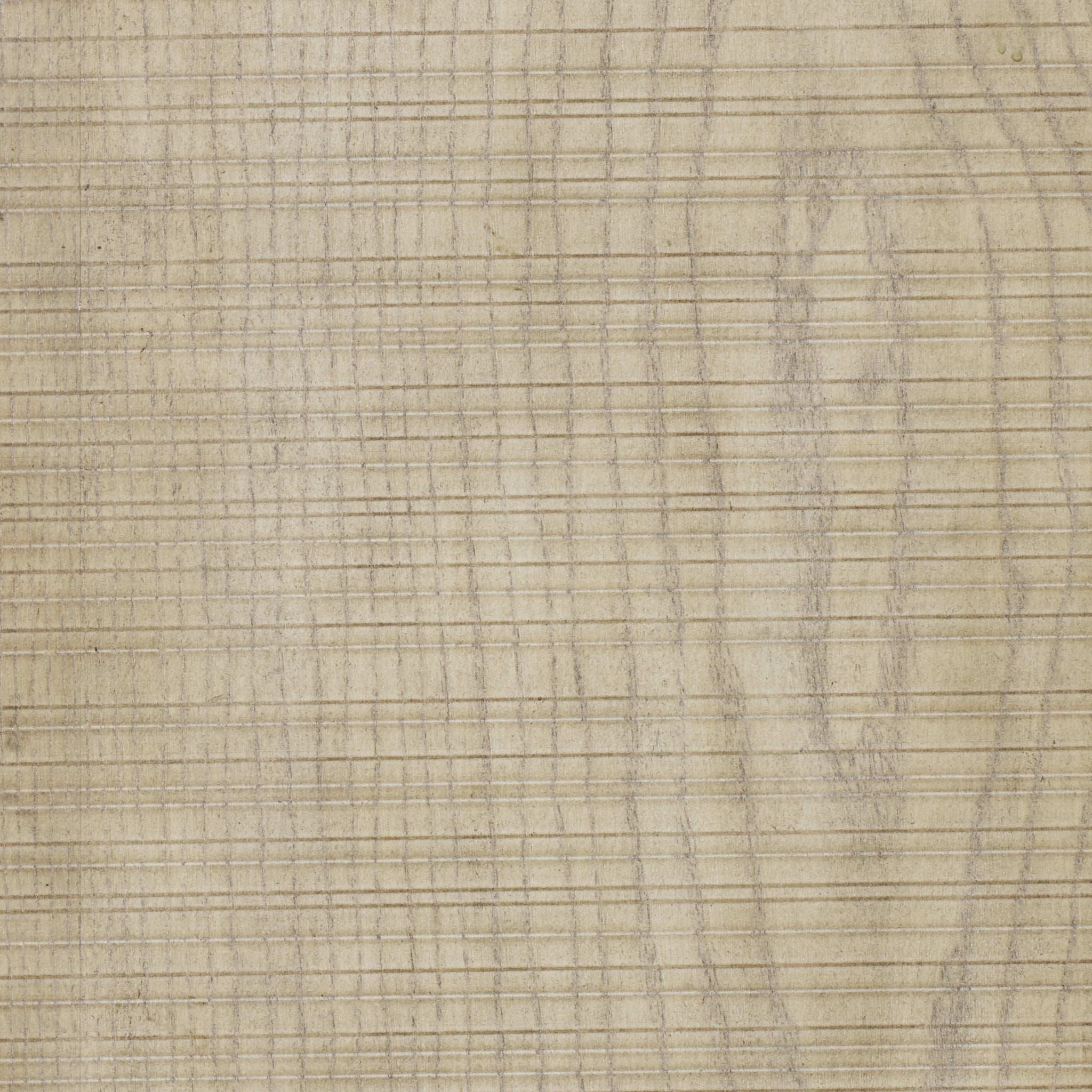 Textured Parchment