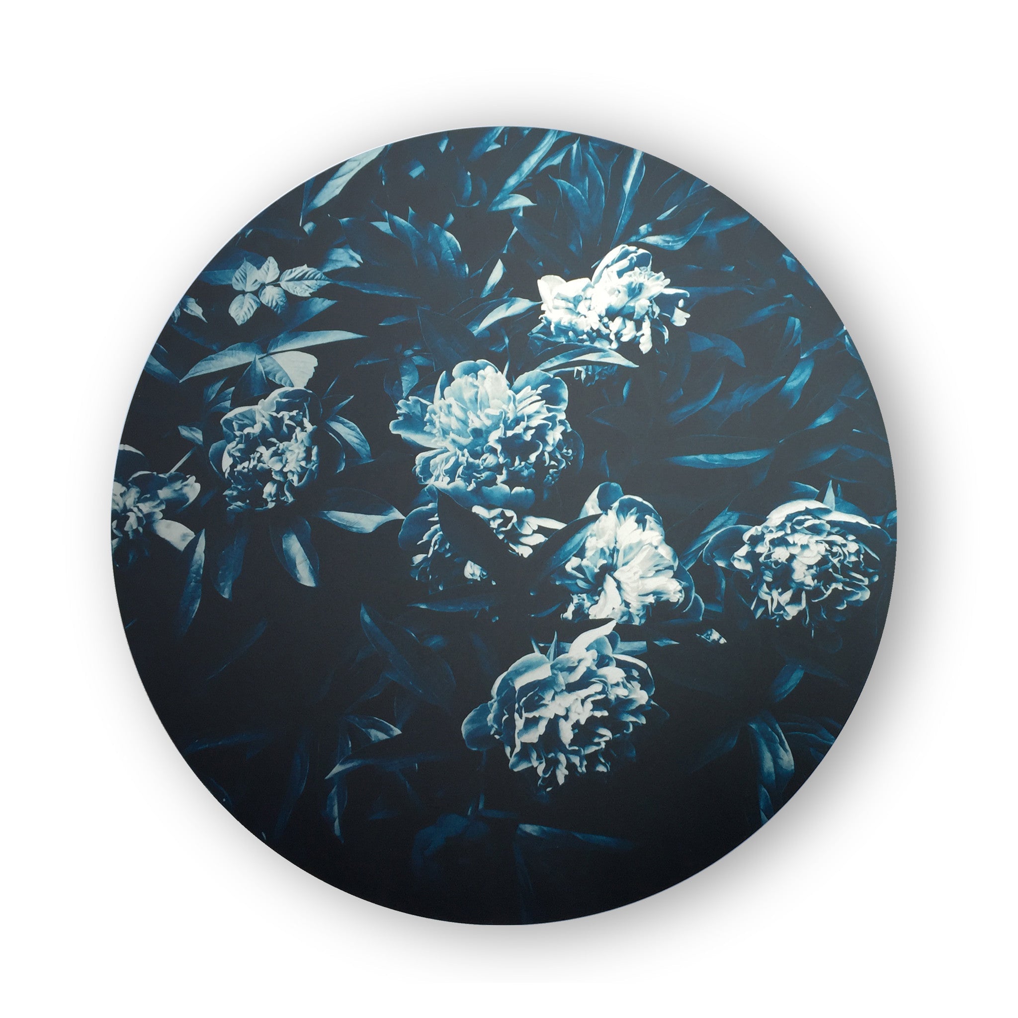 Botanical On Aluminum